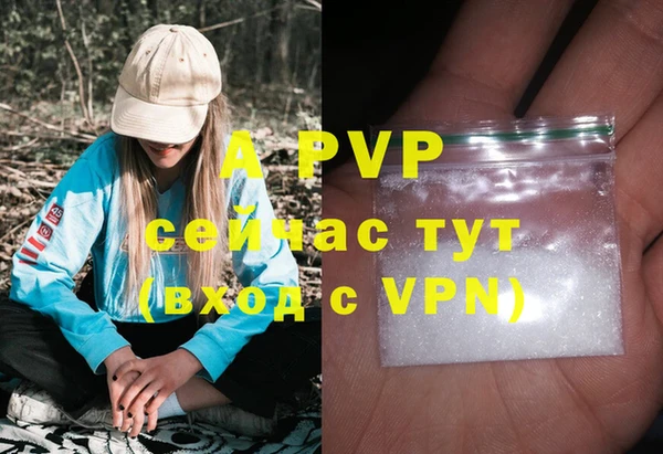 стаф Зеленокумск