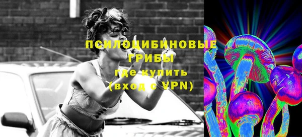 стаф Зеленокумск