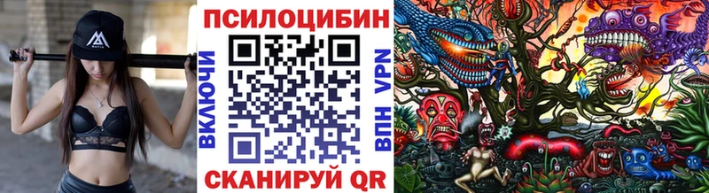 Купить закладки  Ахтубинск  Галлюциногенные грибы мицелий 