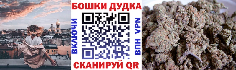 Конопля гибрид  Купить закладки  Ахтубинск 